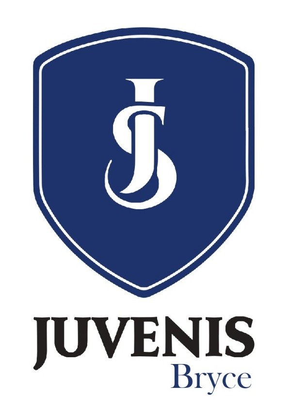 Logo BRYCE1